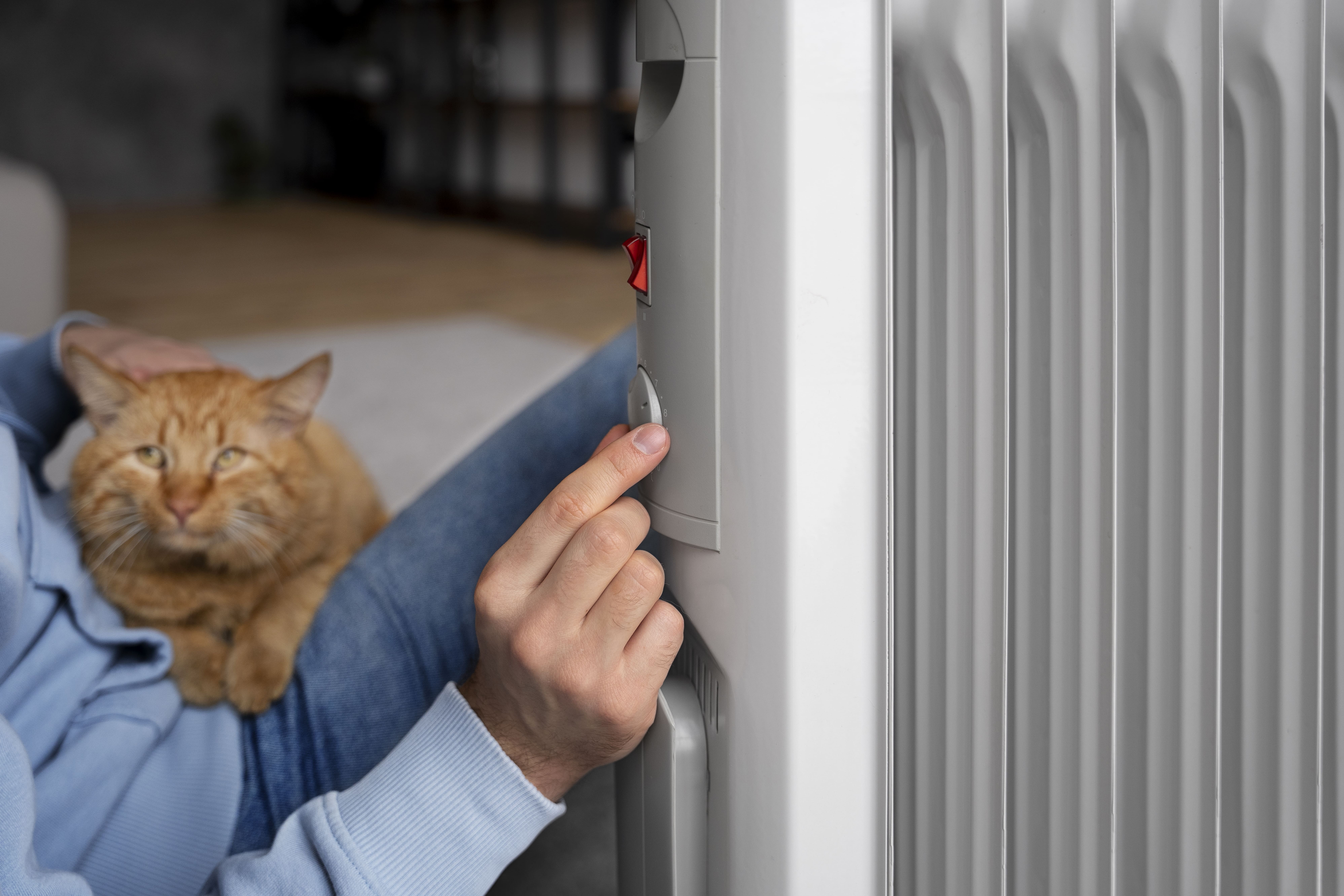 owner-holding-cat-turning-up-heat (1).jpg